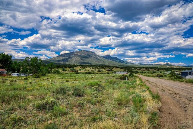 227 Red Feather Rd, South Fork, CO 81154