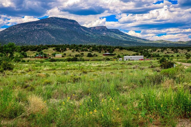 227 Red Feather Rd, South Fork, CO 81154