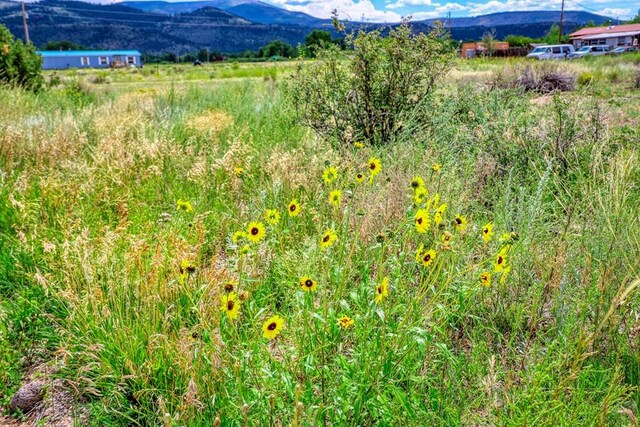 227 Red Feather Rd, South Fork, CO 81154
