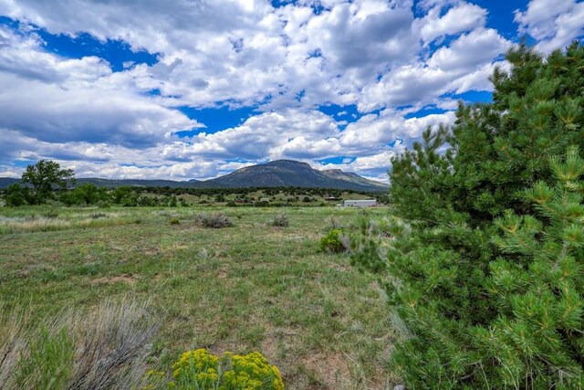 227 Red Feather Rd, South Fork, CO 81154