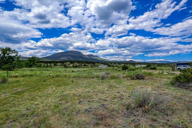 227 Red Feather Rd, South Fork, CO 81154