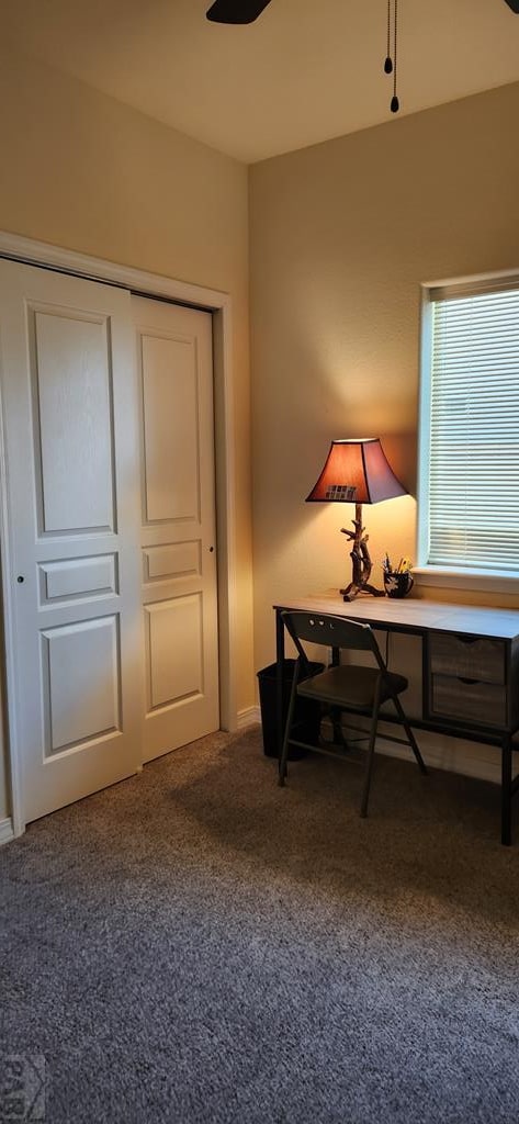 4904 Almondcrest Dr, Pueblo, CO 81005 - photo 23