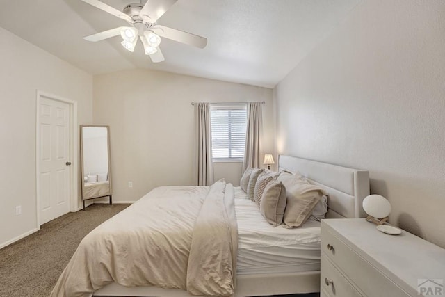 613 S Inca Dr, Pueblo West, CO 81007 - photo 14