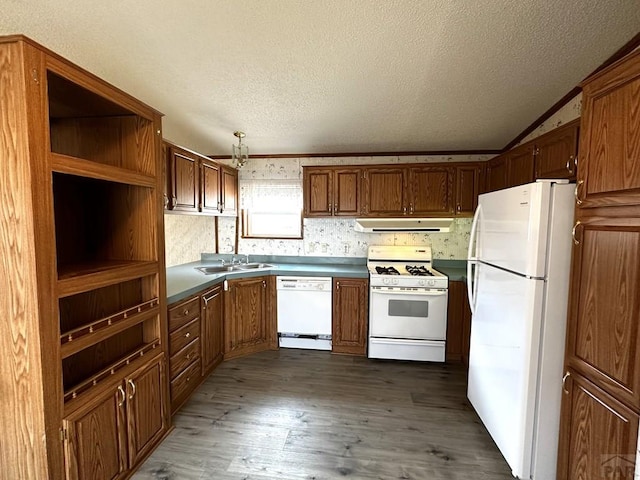 kitchen featuring white appliances, wood finished floors, open shelves, a sink, and exhaust hood