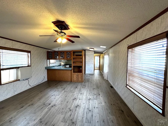 kitchen with dark wood-style floors, a peninsula, ornamental molding, and dark countertops