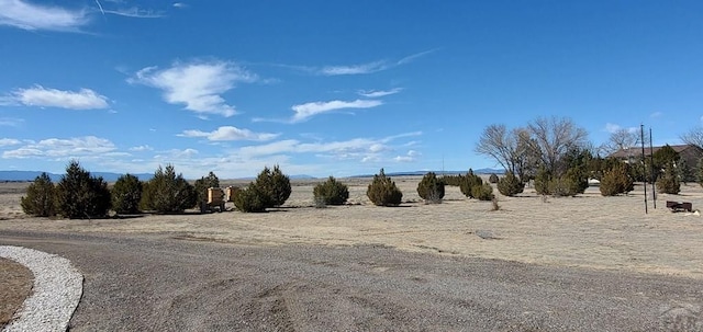 view of road with a rural view