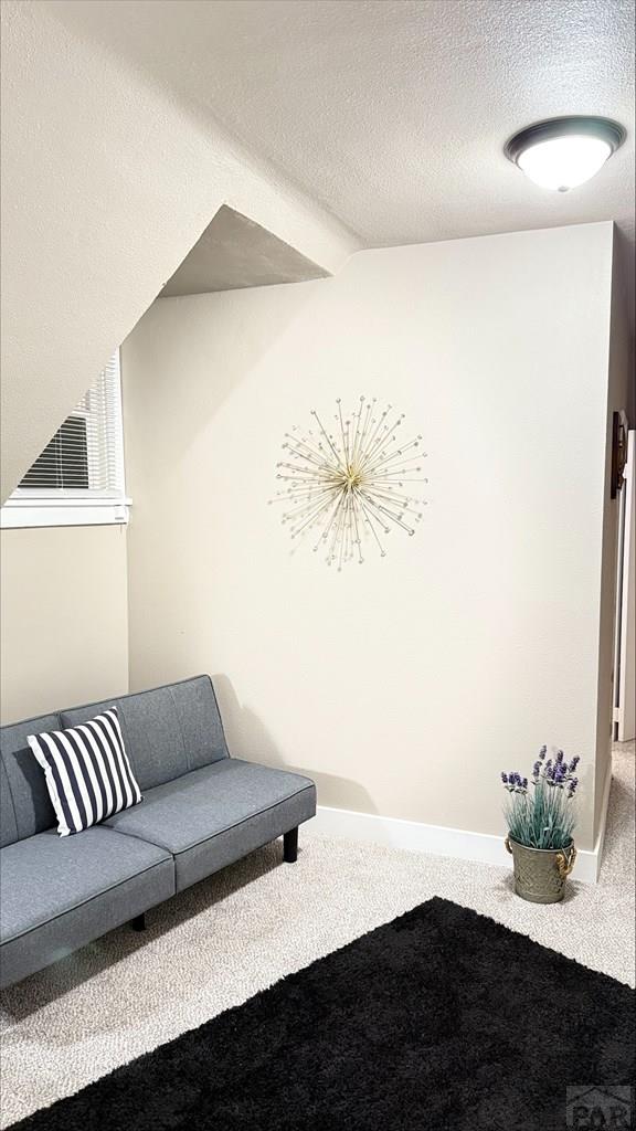interior space featuring carpet floors and a textured ceiling