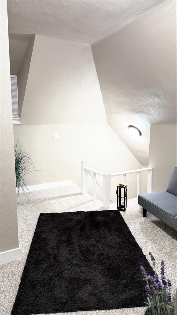 additional living space featuring baseboards, lofted ceiling, and carpet