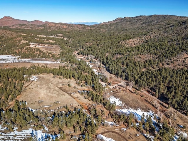 birds eye view of property featuring a mountain view and a forest view