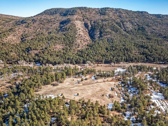 drone / aerial view featuring a mountain view