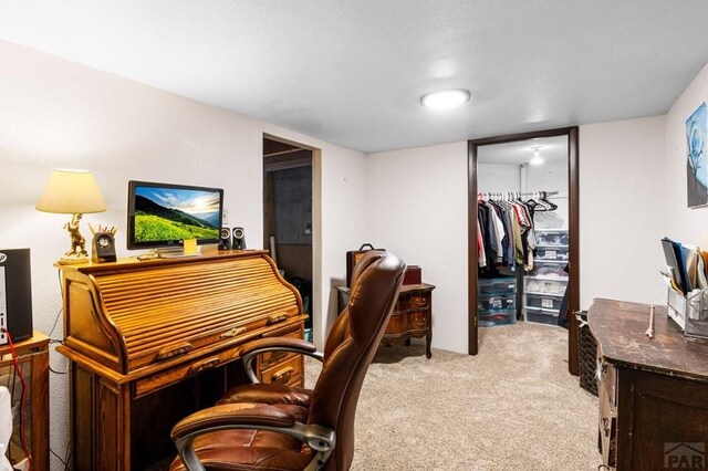 101 S Golfview Dr, Pueblo West, CO 81007 - photo 36