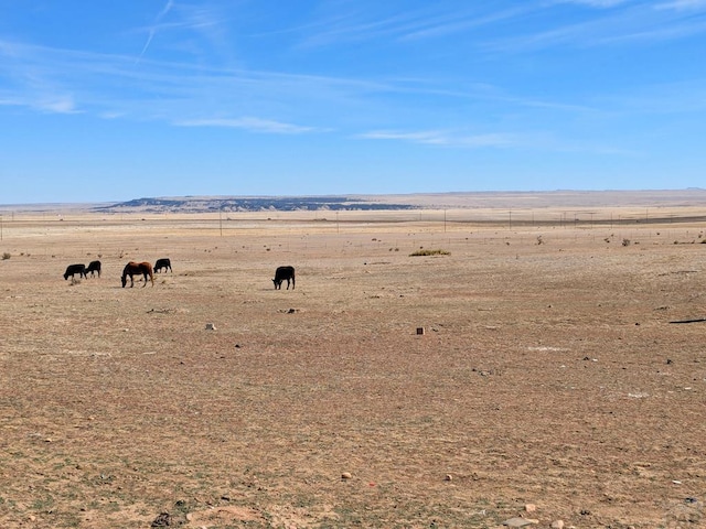 view of local wilderness featuring a mountain view and a rural view