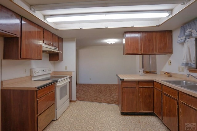 kitchen featuring a sink, electric stove, light countertops, and brown cabinets