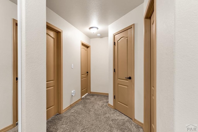 4409 Widener St, Pueblo, CO 81008 - photo 17