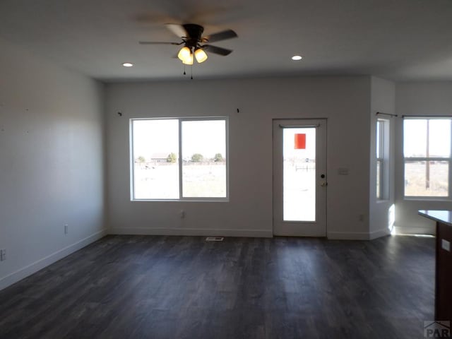 entrance foyer featuring dark wood-style floors, a healthy amount of sunlight, and baseboards