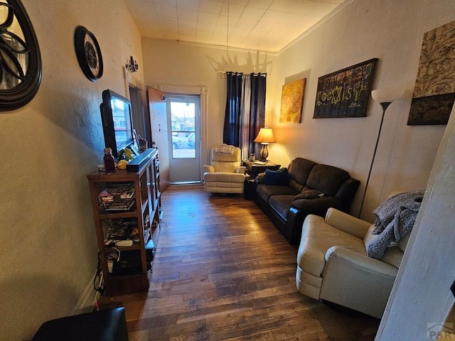 living area featuring dark wood-style flooring