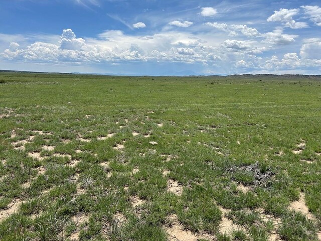 LOT123E Turkey Ridge Rnch, Walsenburg, CO 81089