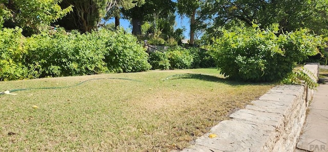 927 E 11th St, Pueblo, CO 81001 - view of green lawn
