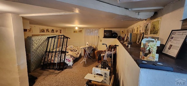 927 E 11th St, Pueblo, CO 81001 - finished basement with carpet floors
