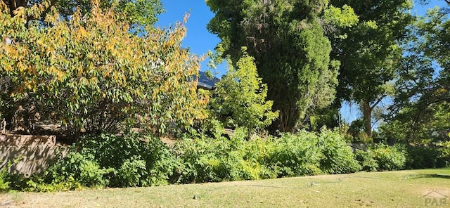 927 E 11th St, Pueblo, CO 81001 - view of local wilderness