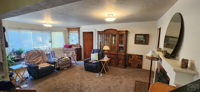 927 E 11th St, Pueblo, CO 81001 - living area featuring carpet floors