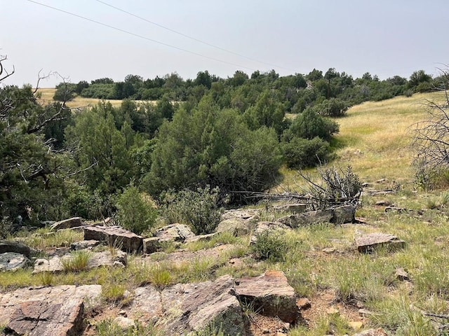 TBD Gilpin St, Colorado City CO, 81019 land for sale