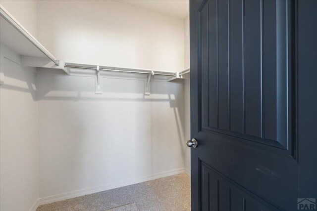 spacious closet featuring light colored carpet