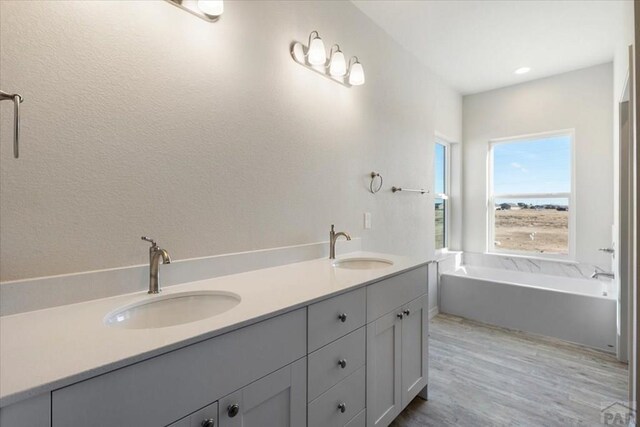 full bathroom featuring wood finished floors, a sink, a bath, and double vanity