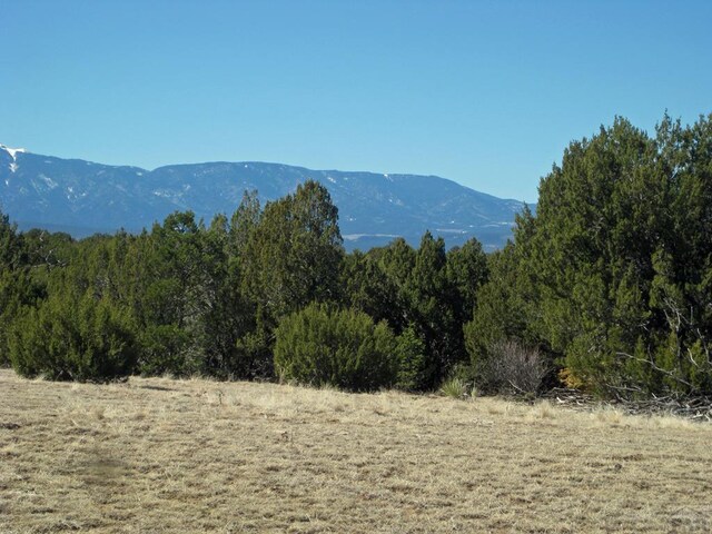 PAR78 Willow Spring Dr, Pueblo, CO 81004 - photo 10
