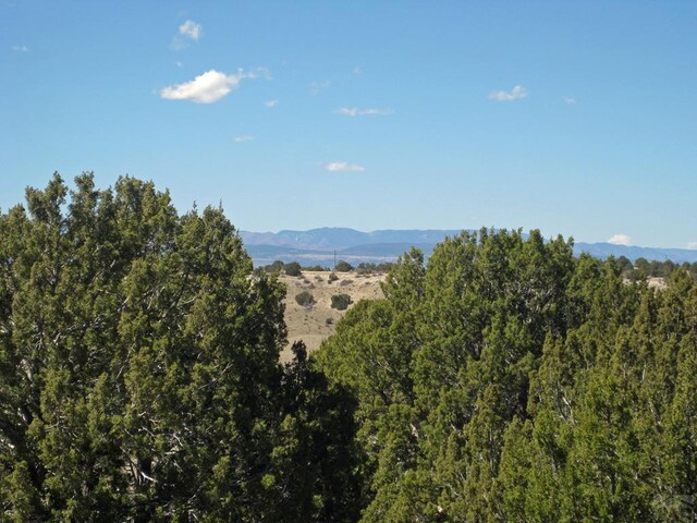 PAR78 Willow Spring Dr, Pueblo, CO 81004 - photo 25