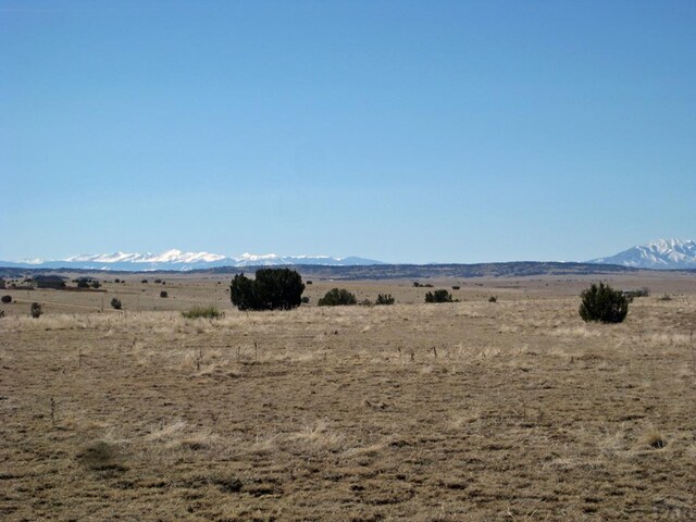 PAR78 Willow Spring Dr, Pueblo, CO 81004 - photo 6