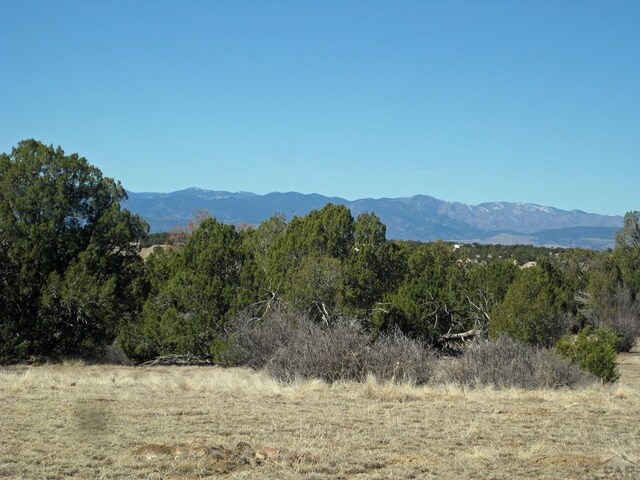 PAR78 Willow Spring Dr, Pueblo, CO 81004 - photo 12