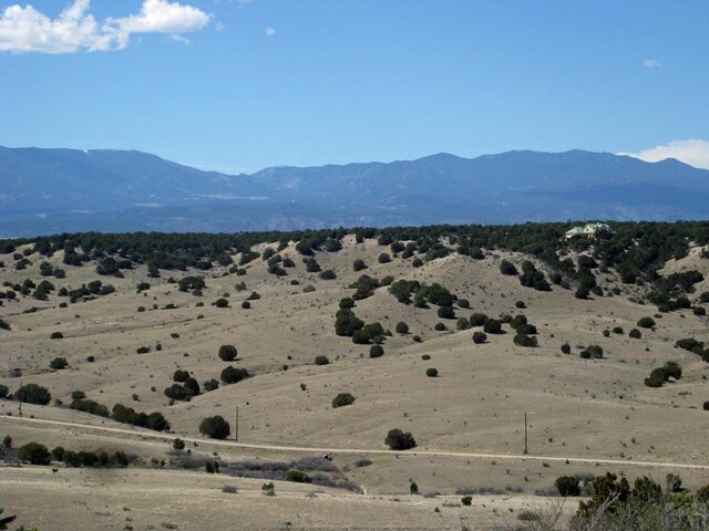 PAR78 Willow Spring Dr, Pueblo, CO 81004 - photo 24