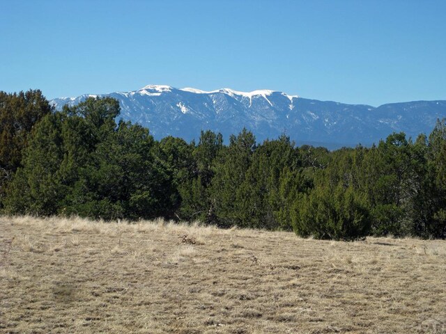 PAR78 Willow Spring Dr, Pueblo, CO 81004 - photo 9