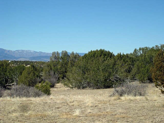 PAR78 Willow Spring Dr, Pueblo, CO 81004 - photo 13