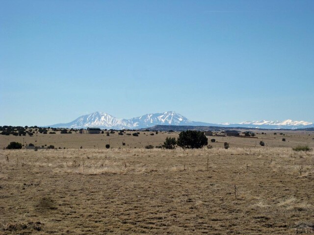 PAR78 Willow Spring Dr, Pueblo, CO 81004 - photo 7