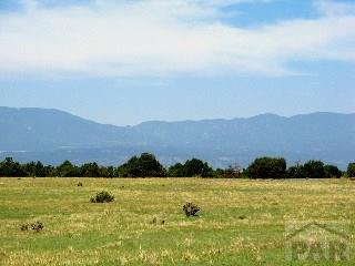 PAR78 Willow Spring Dr, Pueblo, CO 81004 - photo 3