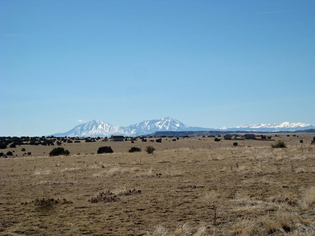 PAR78 Willow Spring Dr, Pueblo, CO 81004 - photo 15