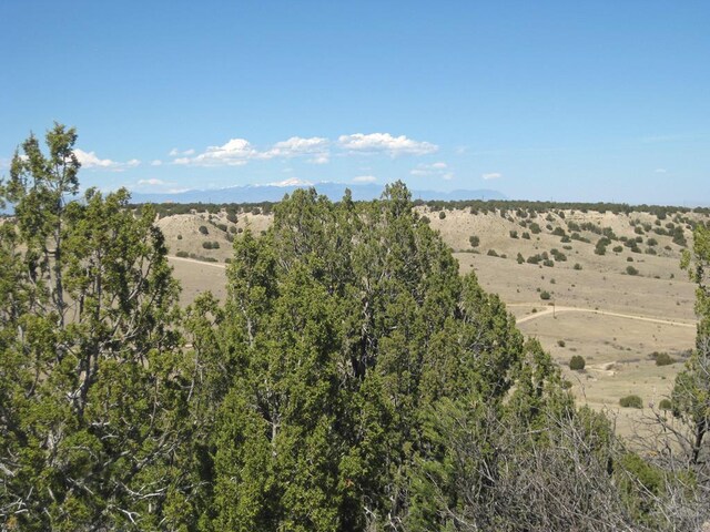PAR78 Willow Spring Dr, Pueblo, CO 81004 - photo 20