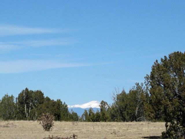 PAR78 Willow Spring Dr, Pueblo, CO 81004 - photo 14
