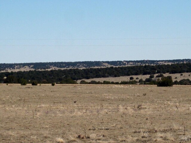 PAR78 Willow Spring Dr, Pueblo, CO 81004 - photo 17