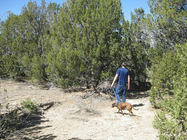 PAR78 Willow Spring Dr, Pueblo, CO 81004 - photo 19