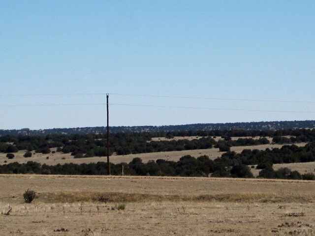 PAR78 Willow Spring Dr, Pueblo, CO 81004 - photo 16