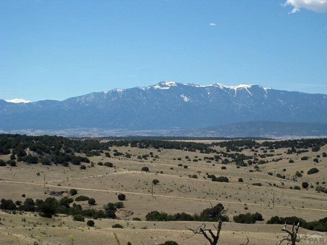 PAR78 Willow Spring Dr, Pueblo, CO 81004 - photo 23