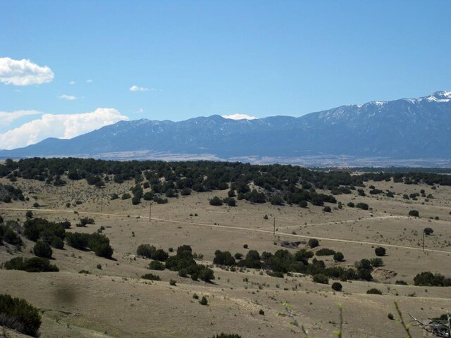 PAR78 Willow Spring Dr, Pueblo, CO 81004 - photo 22