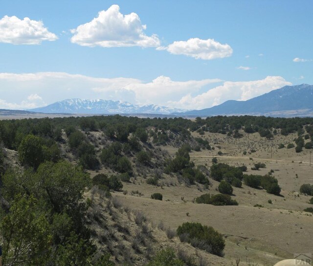 PAR78 Willow Spring Dr, Pueblo, CO 81004 - photo 21