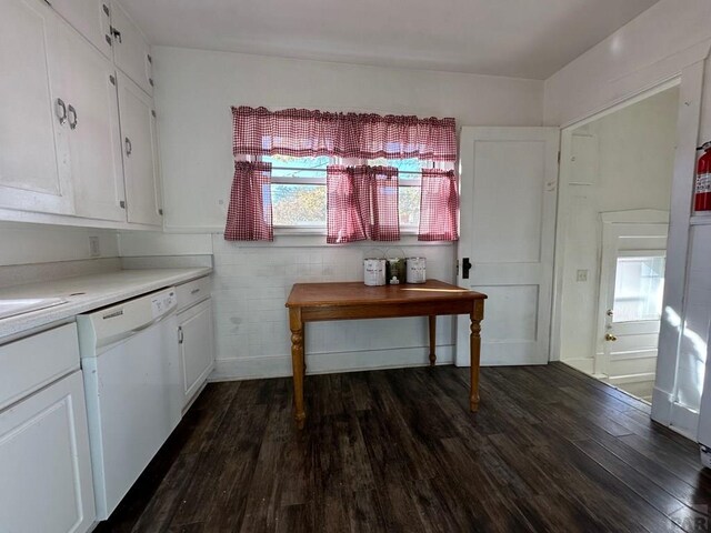 interior space featuring dark wood finished floors and a wealth of natural light