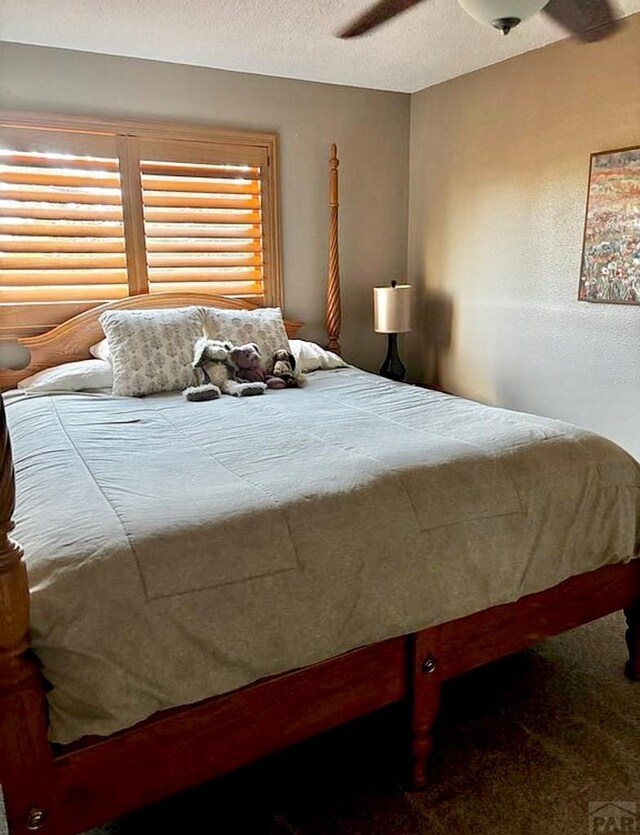 27111 Preston Rd, Pueblo, CO 81006 - photo 20
