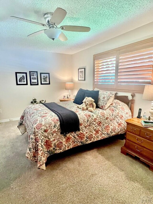 27111 Preston Rd, Pueblo, CO 81006 - photo 23