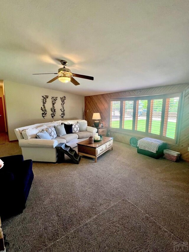 27111 Preston Rd, Pueblo, CO 81006 - photo 27